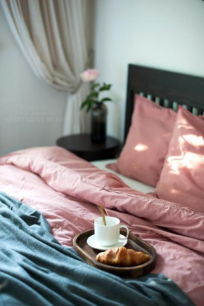 Teika No 2 Apartment-Retro on Brivibas street-free Parking, Riga